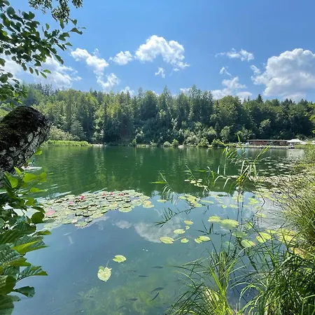 Residenz Aichwaldsee 2 Mit Privaten Seezugang Und Badestrand 公寓 *