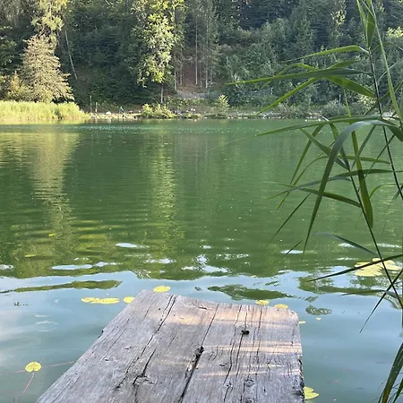 Residenz Aichwaldsee 2 Mit Privaten Seezugang Und Badestrand 公寓 Unteraichwald